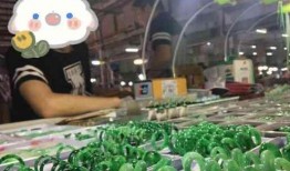 天光墟夜市吃瓜,天光墟夜市吃瓜盛宴全纪录