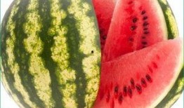 每日聪慧吃瓜全部列表,盘点娱乐圈新鲜事