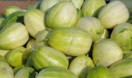 田瓜适合小孩吃吗怎么吃,儿童食用指南与美味食用方法